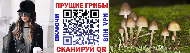 как найти закладки Йошкар-Ола Галлюциногенные грибы ЛСД